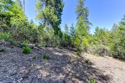 2000 Ponderosa Way, Weimar, CA 95713 - Photo 22