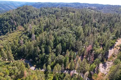 2000 Ponderosa Way, Weimar, CA 95713 - Photo 34