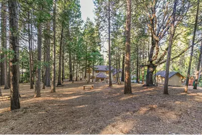 18140 Conifer Court, Pioneer, CA 95666 - Photo 40