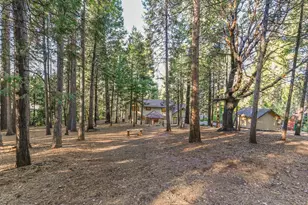 18140 Conifer Ct, Pioneer, CA 95666 - Photo 40