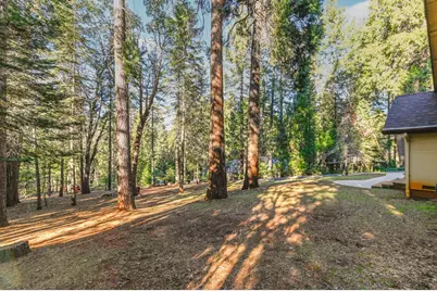 18140 Conifer Court, Pioneer, CA 95666 - Photo 68