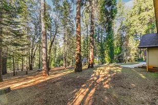 18140 Conifer Ct, Pioneer, CA 95666 - Photo 68