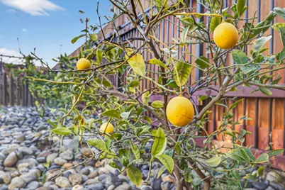 7341 Elverta Rail Way, Rio Linda, CA 95673 - Photo 50