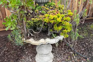 4102 Windrose Dr, Turlock, CA 95382 - Photo 42