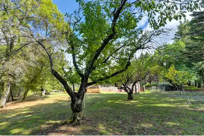 1409 Pleasant Valley, Placerville, CA 95667 - Photo 56