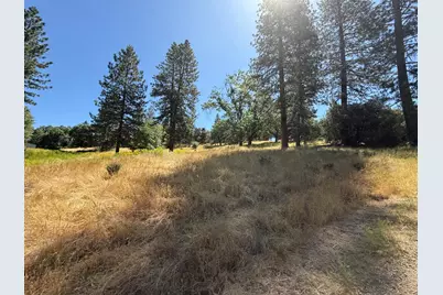 4600 Rocky Bar Rd, Wilseyville, CA 95257 - Photo 14