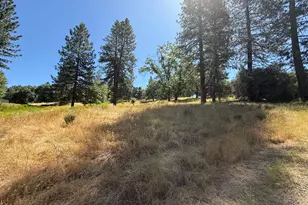 4600 Rocky Bar Rd, Wilseyville, CA 95257 - Photo 14