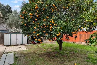 37710 Arlene Court, Fremont, CA 94536 - Photo 46