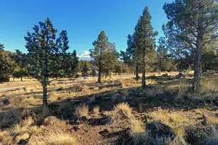 0 Mountain Wood Dr, Weed, CA 96094 - Photo 1