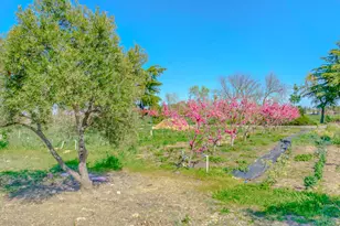 2248 Cannery Loop, Davis, CA 95616 - Photo 48