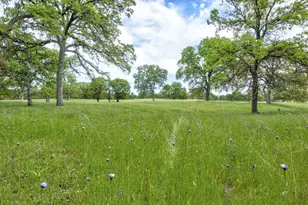 1985 White Rock Rd, Le Grand, CA 95333 - Photo 76