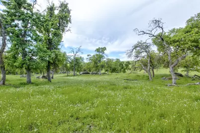 1985 White Rock Road, Le Grand, CA 95333 - Photo 90