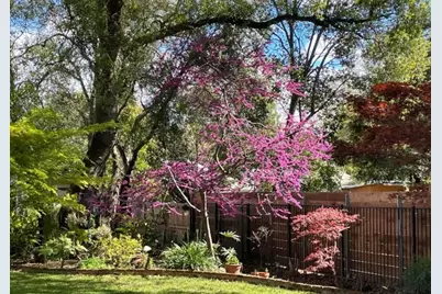 135 Nevada Avenue, Roseville, CA 95678 - Photo 40