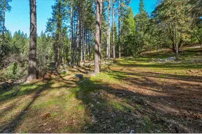12056 N Bloomfield Road, Nevada City, CA 95959 - Photo 42
