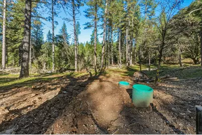 12056 N Bloomfield Road, Nevada City, CA 95959 - Photo 6