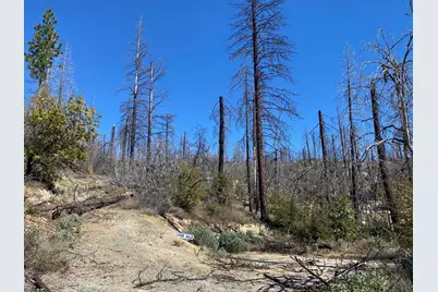 0 Bald Rock Road, Berry Creek, CA 95916 - Photo 2