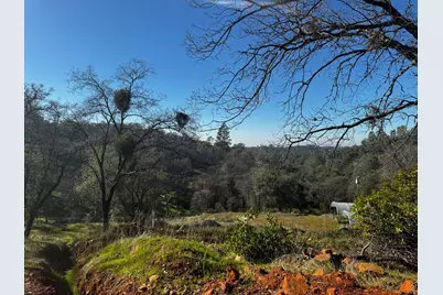 15806 Perimeter Road, Grass Valley, CA 95949 - Photo 30