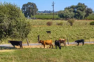 12900 Angrave Rd, Galt, CA 95632 - Photo 84