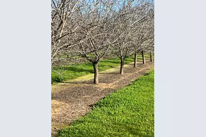 1935 Warnock Way, Durham, CA 95938 - Photo 2
