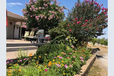 4770 Pedro Hill Road, Pilot Hill, CA 95664 - Photo 86