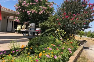 4770 Pedro Hill Rd, Pilot Hill, CA 95664 - Photo 86