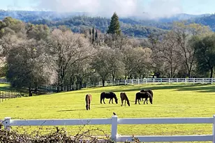 4770 Pedro Hill Rd, Pilot Hill, CA 95664 - Photo 88