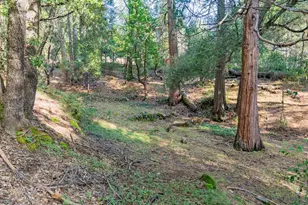 11158 Silver Willow Ln, Nevada City, CA 95959 - Photo 30