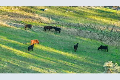 14481 Oak Ridge Road, Penn Valley, CA 95946 - Photo 2