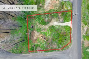 5136 Evergreen Dr, Grizzly Flats, CA 95636 - Photo 1