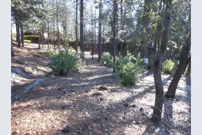Dalewood Way, Grass Valley, CA 95949 - Photo 26