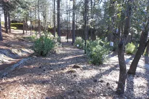 Dalewood Way, Grass Valley, CA 95949 - Photo 26