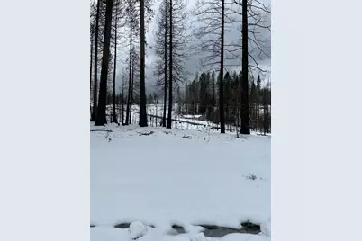 5139 Wooded Glen Road, Grizzly Flats, CA 95636 - Photo 4
