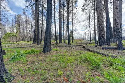 5139 Wooded Glen Road, Grizzly Flats, CA 95636 - Photo 44