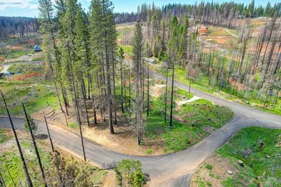 5139 Wooded Glen Road, Grizzly Flats, CA 95636 - Photo 8