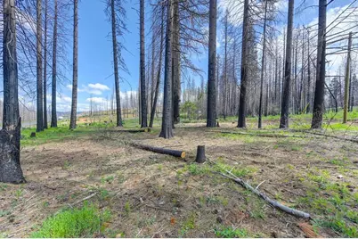 5139 Wooded Glen Road, Grizzly Flats, CA 95636 - Photo 42