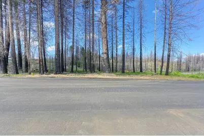 5139 Wooded Glen Road, Grizzly Flats, CA 95636 - Photo 38