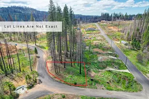 5139 Wooded Glen Rd, Grizzly Flats, CA 95636 - Photo 1