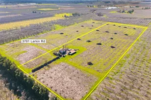 3781 Larkin Rd, Biggs, CA 95917 - Photo 28