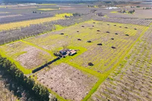 3781 Larkin Rd, Biggs, CA 95917 - Photo 10