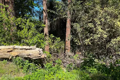 6652 Pappalardo, Murphys, CA 95247 - Photo 8