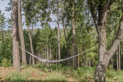 15891 Shake Ridge Road, Sutter Creek, CA 95685 - Photo 22