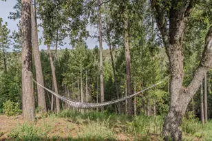 15891 Shake Ridge Rd, Sutter Creek, CA 95685 - Photo 22