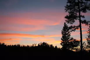 15891 Shake Ridge Rd, Sutter Creek, CA 95685 - Photo 16