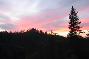 15891 Shake Ridge Rd, Sutter Creek, CA 95685 - Photo 10