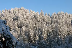 15891 Shake Ridge Rd, Sutter Creek, CA 95685 - Photo 20