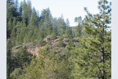 15891 Shake Ridge Road, Sutter Creek, CA 95685 - Photo 6