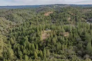 15891 Shake Ridge Rd, Sutter Creek, CA 95685 - Photo 36