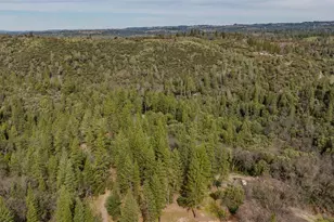 15891 Shake Ridge Rd, Sutter Creek, CA 95685 - Photo 42