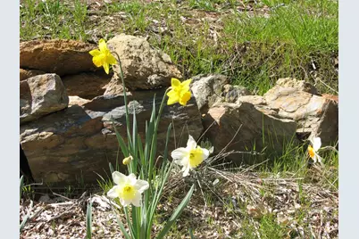 15891 Shake Ridge Road, Sutter Creek, CA 95685 - Photo 8