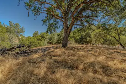 0 Lauren Lane, Jackson, CA 95642 - Photo 28